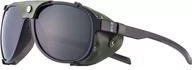 Okulary sportowe - Julbo Julbo Altamont Solar Sunglasses, czarny/zielony  2022 Okulary JSL17090141 - miniaturka - grafika 1