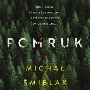 Pomruk Michał Śmielak - Audiobooki - kryminał, sensacja, thriller - miniaturka - grafika 1