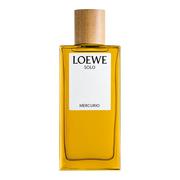 Wody i perfumy męskie - Loewe Solo Mercurio woda perfumowana spray 100ml Tester - miniaturka - grafika 1