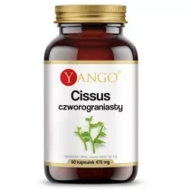 YANGO Yango Cissus Czworograniasty 470 mg 90 k YA518 - Suplementy naturalne - miniaturka - grafika 1