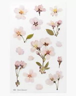 Szkolne artykuły papiernicze - Naklejki ozdobne kwiaty Wiśni - Appree - miniaturka - grafika 1