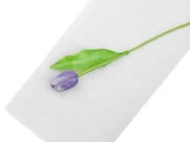 Pasmanteria - Party Deco Tiul drobny, siateczka biały - 1,5 x 10 m - 1 szt. TDC10-008 - miniaturka - grafika 1