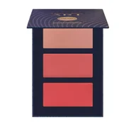 Bronzery i konturowanie twarzy - PIERRE RENE ART PALETA DO KONTUROWANIA TWARZY 01 12G - miniaturka - grafika 1