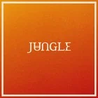 Muzyka elektroniczna - Volcano (vinyl) - miniaturka - grafika 1