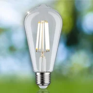 Żarówki LED - Paulmann Eco-Line rustykalna LED E27 4W 840lm - miniaturka - grafika 1