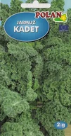 Nasiona i cebule - Jarmuż Kadet 2 g POLAN - miniaturka - grafika 1