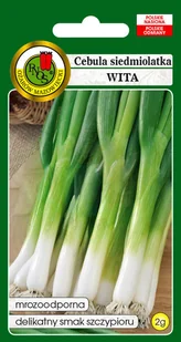 Roślina wieloletnia, mrozoodporna, pozostająca na jednym miejscu przez 3–4 lata. Zgrubienia białe przechodzące w zielony, soczysty i delikatny szczy.. - Nasiona i cebule Roślina wieloletnia, mrozoodporna, pozostająca na jednym miejscu przez 3–4 lata. Zgrubienia białe przechodzące w zielony, soczysty i delikatny szczy.. - Nasiona i cebule - miniaturka - grafika 1