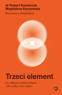 Poradniki hobbystyczne - Trzeci element. Co zaburza nasze związki i jak sobie z tym radzić - miniaturka - grafika 1