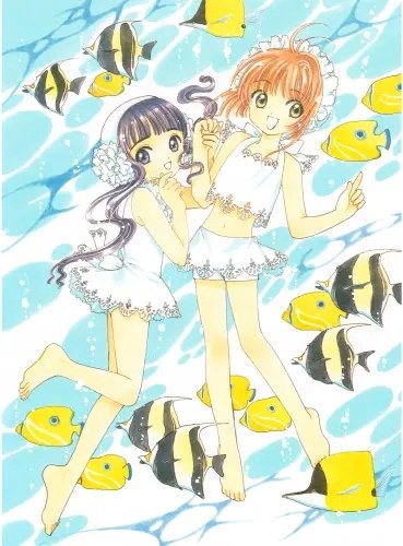 Plakat Anime Cardcaptor Sakura ccs_567 A2 (custom)