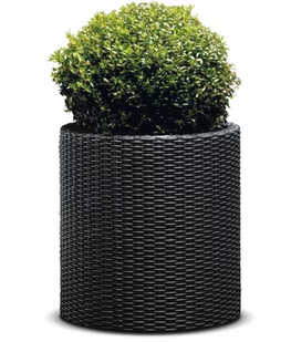 Keter Doniczka Cylinder Planter 212427 - Donice - miniaturka - grafika 1