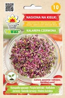 Nasiona i cebule - Nasiona Na Kiełki - Kalarepa Czerwona - miniaturka - grafika 1