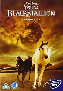 Movie - Young Black Stallion - Pozostałe filmy DVD - miniaturka - grafika 1