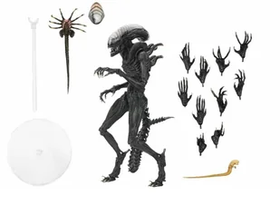ALIEN: Romulus Ultimate Figurka 23 cm Scorched Xenomorph OBCY - Figurki dla dzieci - miniaturka - grafika 1