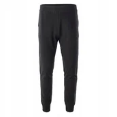 Dresy męskie - MĘSKIE SPODNIE DRESOWE HOBAN IGUANA S - miniaturka - grafika 1