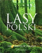 Albumy krajoznawcze - Lasy Polski. The Forests of Poland - miniaturka - grafika 1