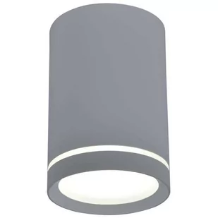 Candellux Lampa sufitowa szara 6,8x10cm Tuba 2276007 2276007 - Lampy sufitowe - miniaturka - grafika 1