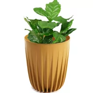 Donice - Doniczka plastikowa Mira śr.25 cm musztardowa Lamela - miniaturka - grafika 1
