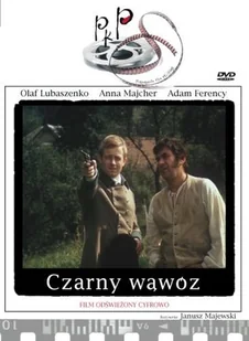 Czarny Wąwóz - Filmy polskie DVD - miniaturka - grafika 1