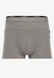 Szare Bawełniane Majtki Bokserki z Ozdobnym Napisem i Szeroką Gumką w Pasie Blinsea - Majtki męskie - miniaturka - grafika 1
