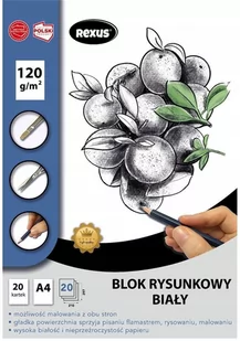 BENIAMIN Blok rysunkowy A4/20K biały Premium - Beniamin - Szkolne artykuły papiernicze - miniaturka - grafika 1