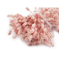 Zabawki kreatywne - Pręciki do kwiatków ryżyki pudrowy róż błyszczące 200 sztuk - miniaturka - grafika 1