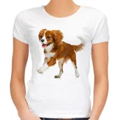 Koszulki i topy damskie - Koszulka pies Cavalier King Charles spaniel damska - miniaturka - grafika 1