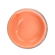 Zabawki kreatywne - Farba do tkanin ciemnych, kolorowych kryjąca PROFIL 150 ml  :: 256 łosoś - miniaturka - grafika 1