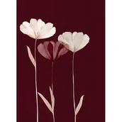 Ramki na zdjęcia - Obraz Glasspik 50 x 70 GL303 MAROON GLAM - miniaturka - grafika 1