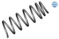 Układ zawieszenia - akcesoria - SPRĘŹYNA ZAW. VOLKSWAGEN - miniaturka - grafika 1