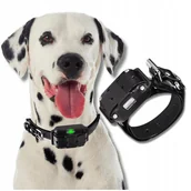 Obroże dla psów - Dodatkowa elektryczna obroża dla psa, treningowa, pasek, nakładki, żarówka - miniaturka - grafika 1