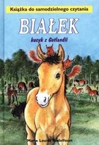 Białek kucyk z Gotlandii - Literatura przygodowa - miniaturka - grafika 2