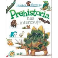 Baśnie, bajki, legendy - Olesiejuk Sp. z o.o. Ciekawe dlaczego Prehistoria nas interesuje - Gaff Jackie - miniaturka - grafika 1