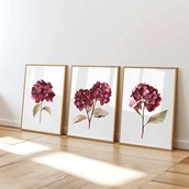 Obrazy i zdjęcia - Bordowe Hortensje - Zestaw trzech grafik botanicznych - miniaturka - grafika 1