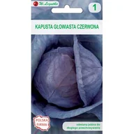 Nasiona i cebule - Kapusta głowiasta czerwona Langedijker Dauer 2 W.Legutko - miniaturka - grafika 1