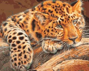 Zmęczona pantera - Malowanie po numerach 50x40 cm - Malowanie po numerach - miniaturka - grafika 1