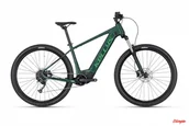 Rowery elektryczne - Rower elektryczny Kellys Tygon R10 P 29" 725Wh Forest 2022 - miniaturka - grafika 1