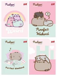 St. Majewski Zeszyt A5 32k linia podwójna dwukolorowa laminowany PUSHEEN p15  cena za 1 sztukę - Zeszyty szkolne - miniaturka - grafika 1