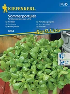 Nasiona i cebule - Portulaka nasiona SOMMERPORTULAK Kiepenkerl - miniaturka - grafika 1