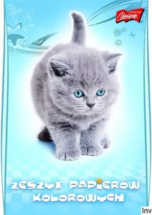 St. Majewski Zeszyt papierów kolorowych A5 10 kartek - Notesy i bloczki - miniaturka - grafika 1