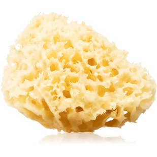 Huygens Clear Natural Mediterranean Sea Sponge naturalna morska gąbka do kąpieli do ciała i twarzy - Rękawice i gąbki do kąpieli - miniaturka - grafika 1