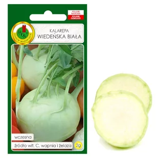 KALAREPA WIEDEŃSKA BIAŁA WCZESNA NASIONA BEZ GMO - Nasiona i cebule - miniaturka - grafika 1