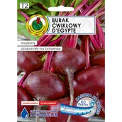 Nasiona i cebule - Burak ćwikłowy D`Egypte nasiona na taśmie 6 m Pnos - miniaturka - grafika 1