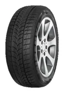 Opony zimowe - Minerva Frostrack UHP 205/45R17 88V - miniaturka - grafika 1