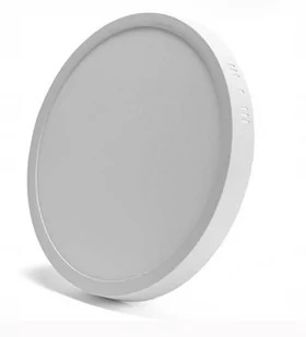 Syntron Panel LED natynkowy okrągły D30/24W/4000K biały - Lampy pozostałe - miniaturka - grafika 1