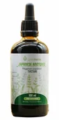 Suplementy naturalne - Lymeherbs, Rdest japoński nalewka 1:2, 100ml - miniaturka - grafika 1