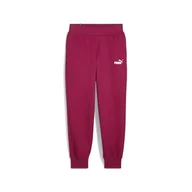Dresy damskie - PUMA Damskie spodnie dresowe Ess Fl Cl (S) spodnie z dzianiny - miniaturka - grafika 1