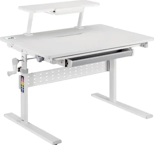 Ergo Office ML Biurko dla dzieci Ergo Office, z regulacją wysokości, szare, max 40kg,900x600mm, ER-483 - Zestawy mebli dla dzieci - miniaturka - grafika 1