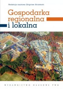 Wydawnictwo Naukowe PWN Strzelecki Zbigniew (red.) Gospodarka regionalna i lokalna - Biznes - miniaturka - grafika 1
