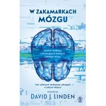 Rebis W zakamarkach mózgu - Nauki przyrodnicze - miniaturka - grafika 2