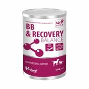 Suplementy i witaminy dla kotów - VETFOOD BB & RECOVERY BALANCE 500g nowotwory rekonwalescencja proszek dla psa i kota - miniaturka - grafika 1